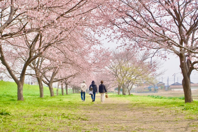 寺山公園での外出支援